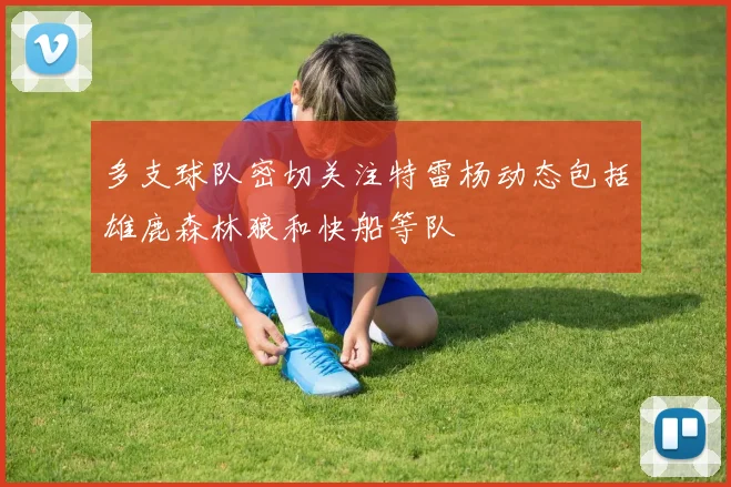 多支球队密切关注特雷杨动态包括雄鹿森林狼和快船等队